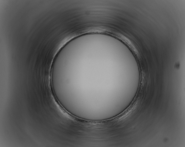 X0000097800802200803140735