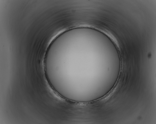X0000097800806200803140735
