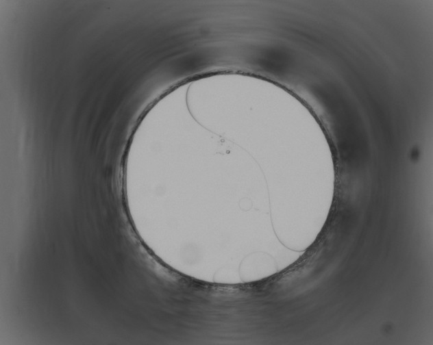 X0000097800807200803140735