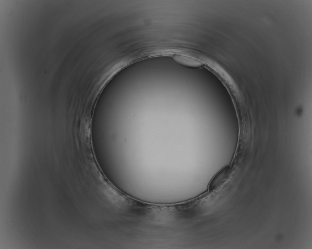 X0000097800809200803140735