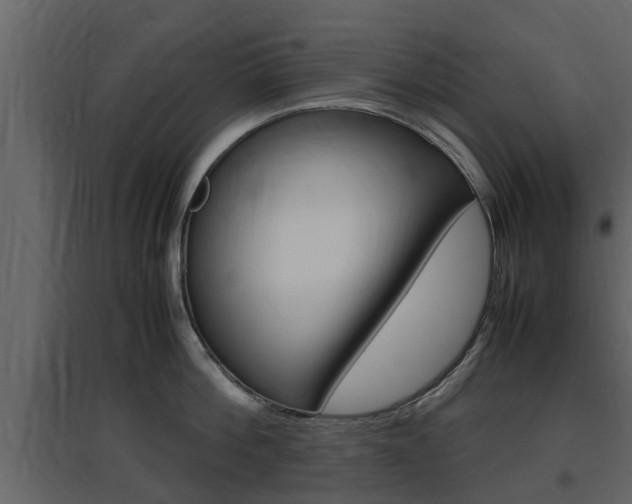 X0000097800812200803140735