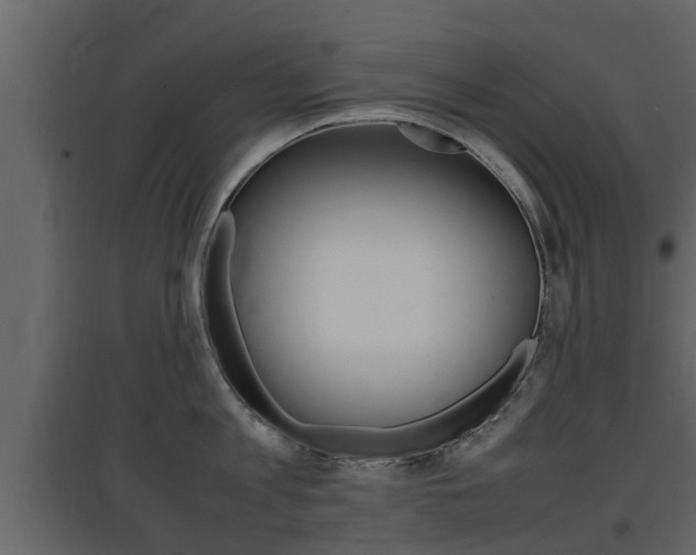 X0000097800813200803140735