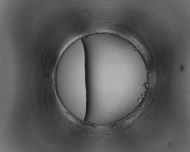 X0000097800814200803140735