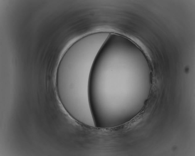 X0000097800815200803140735