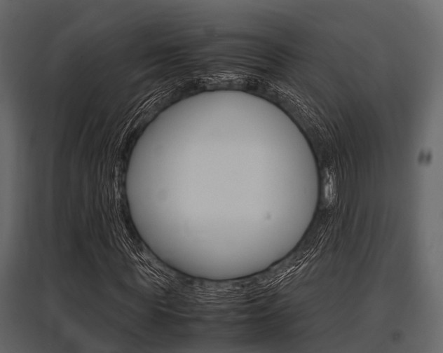 X0000097800819200803140734