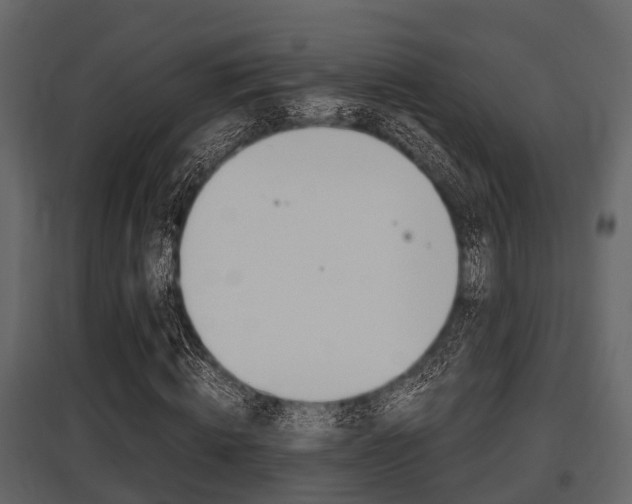 X0000097800820200803140734