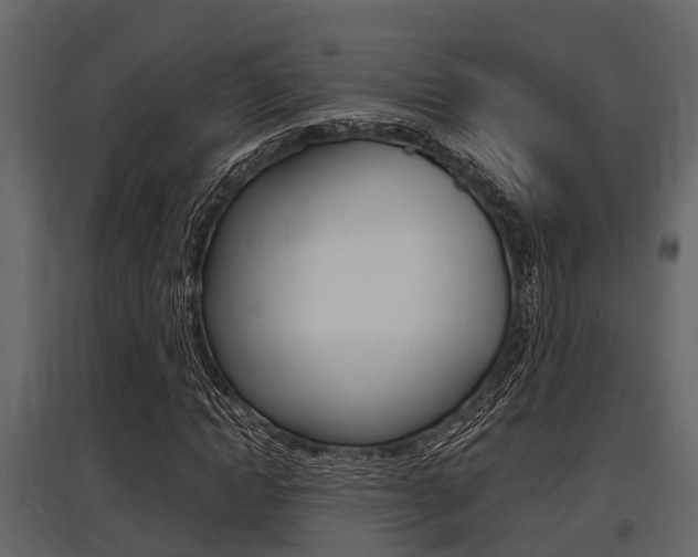 X0000097800822200803140734