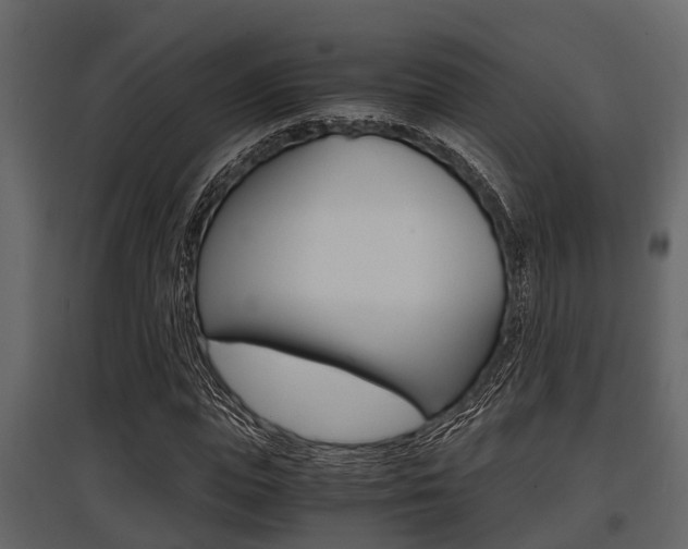 X0000097800823200803140734