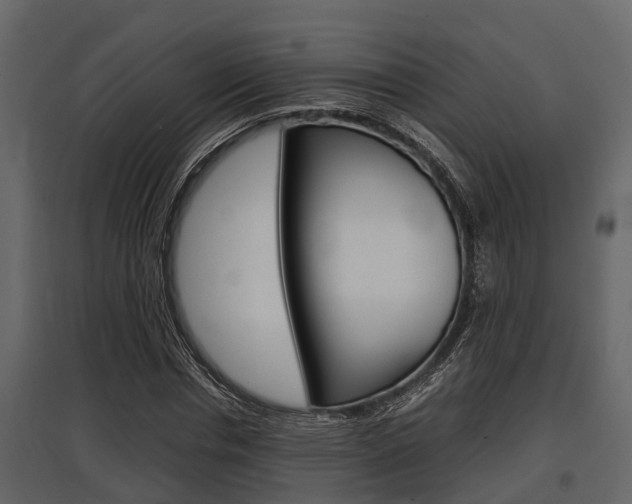 X0000097800826200803140734