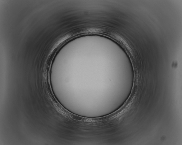 X0000097800827200803140734