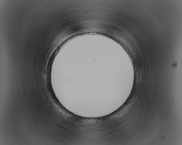 X0000097800828200803140734