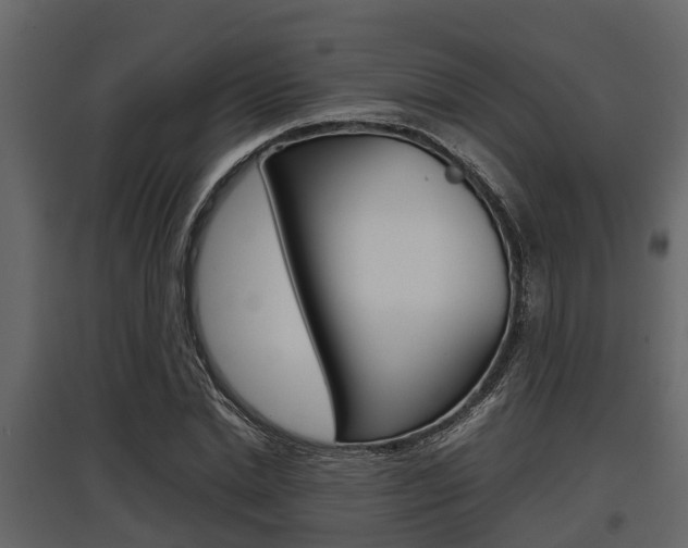 X0000097800830200803140734