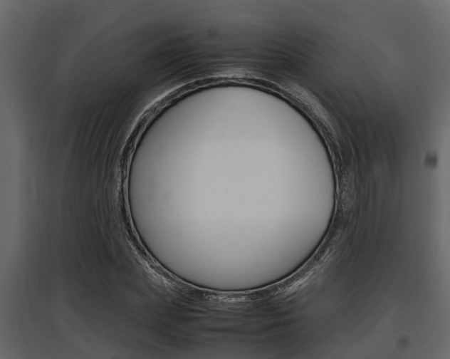 X0000097800831200803140734