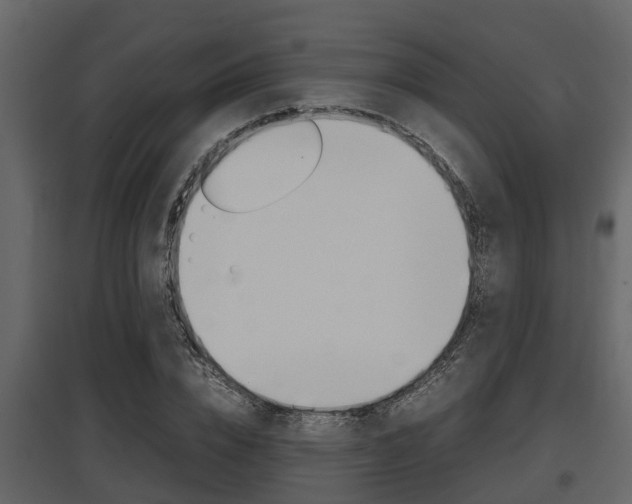 X0000097800832200803140734