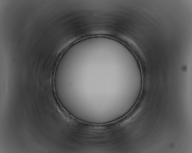 X0000097800833200803140734