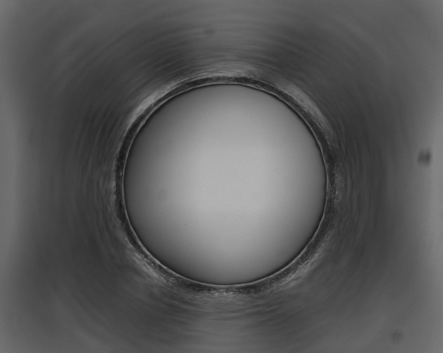 X0000097800834200803140734