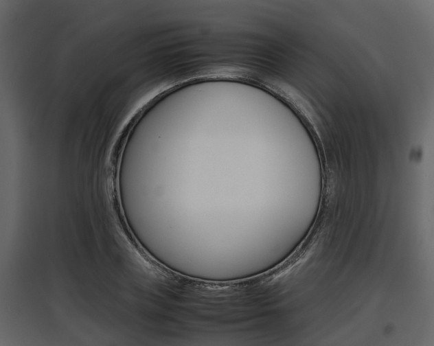 X0000097800835200803140734