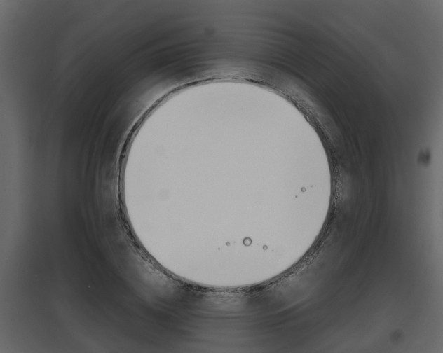 X0000097800836200803140734