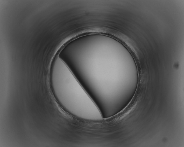 X0000097800837200803140734