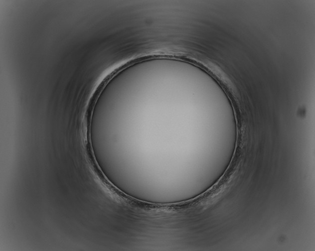 X0000097800838200803140734