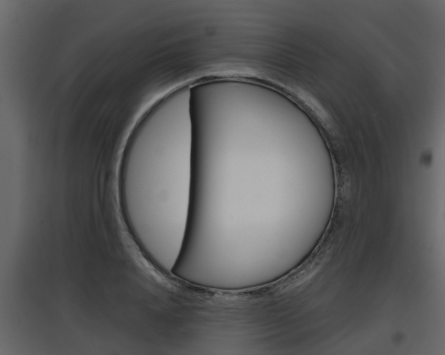 X0000097800840200803140734