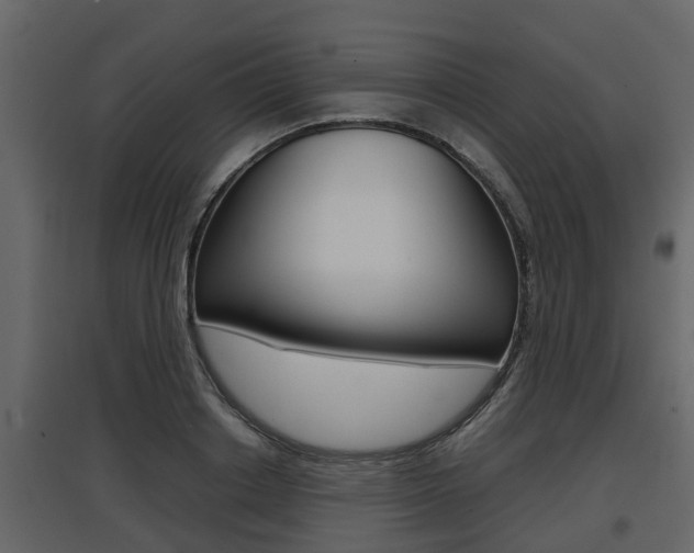 X0000097800842200803140734