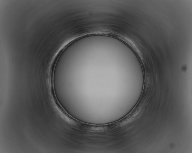 X0000097800843200803140734