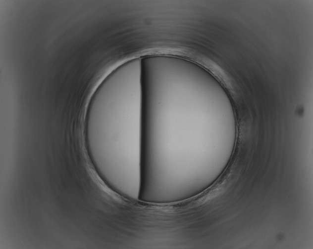 X0000097800844200803140734