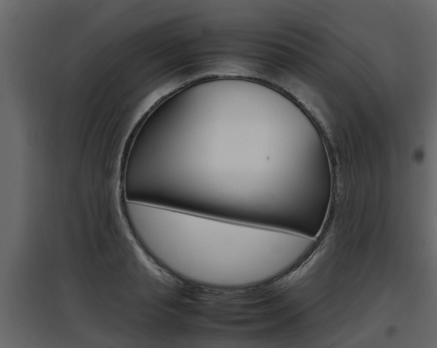 X0000097800845200803140734