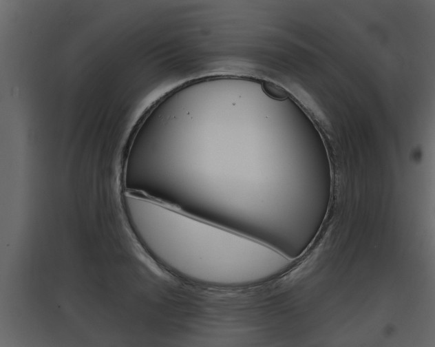 X0000097800846200803140734