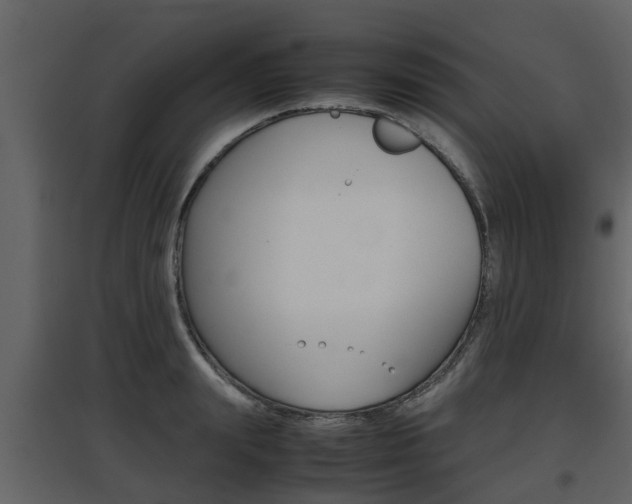 X0000097800847200803140734