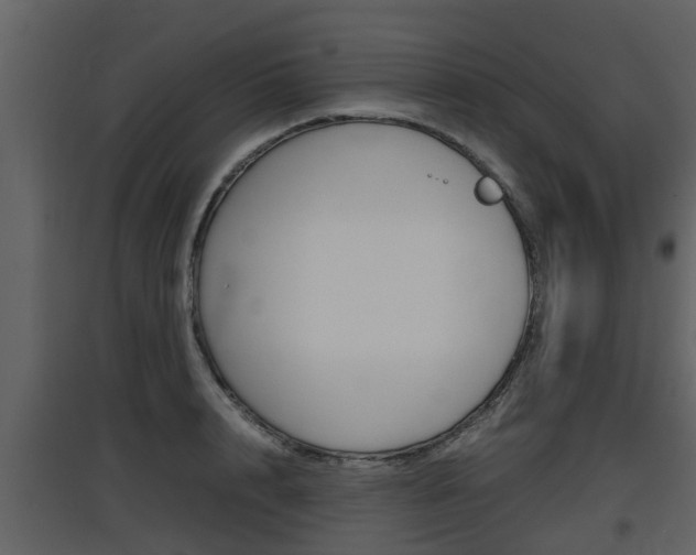 X0000097800848200803140734