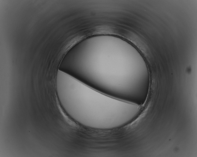 X0000097800849200803140734
