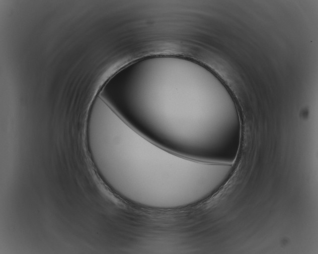 X0000097800850200803140735