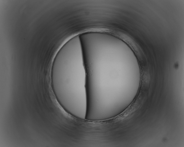 X0000097800852200803140735