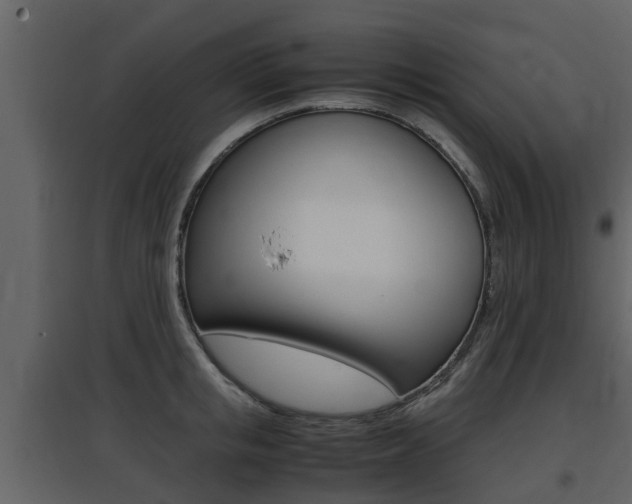 X0000097800853200803140735
