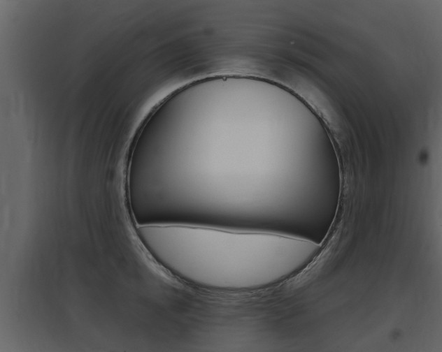 X0000097800854200803140735
