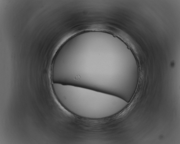 X0000097800855200803140735