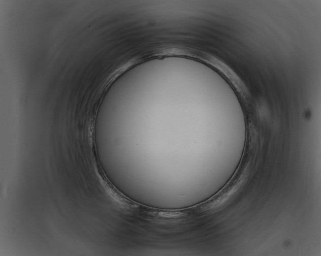 X0000097800857200803140735