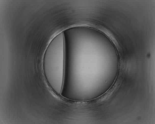 X0000097800858200803140735
