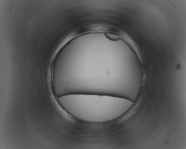 X0000097800859200803140735