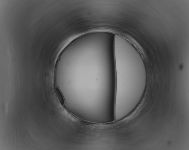 X0000097800860200803140735