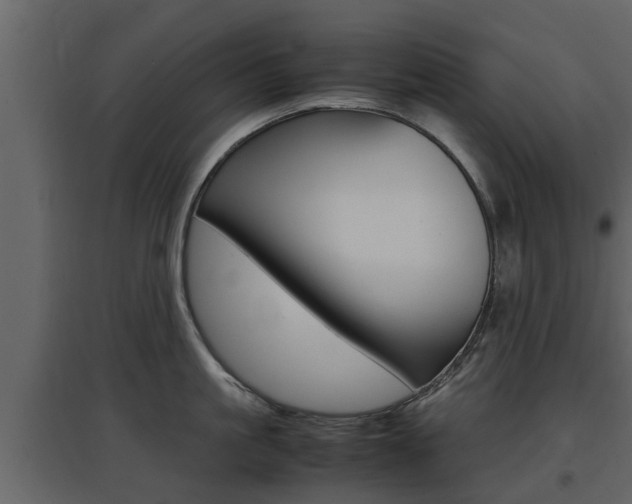 X0000097800861200803140735