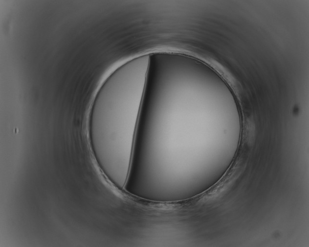 X0000097800862200803140735