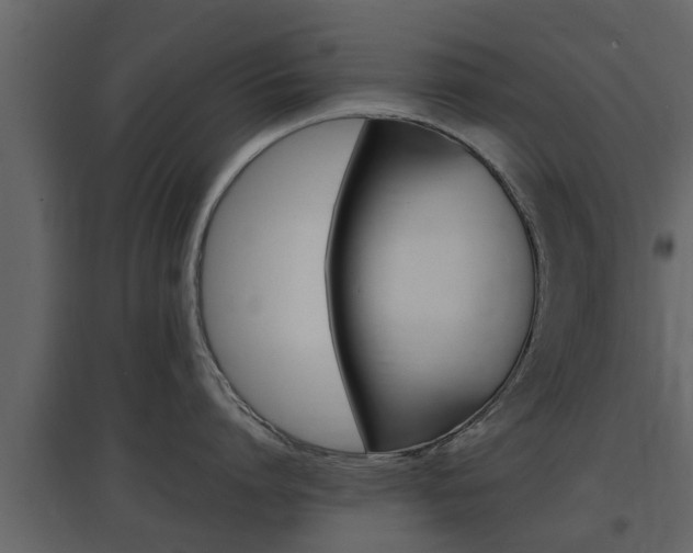 X0000097800864200803140735