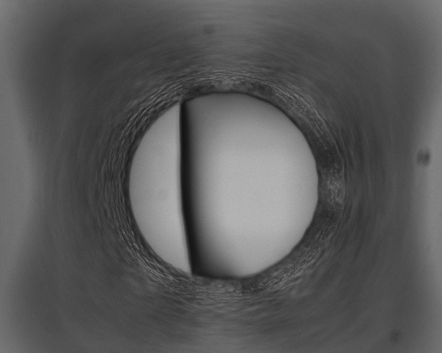 X0000097800865200803140734