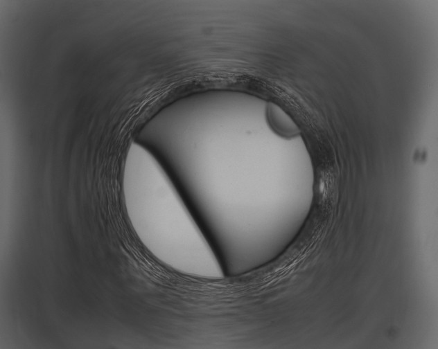 X0000097800867200803140734