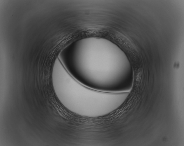 X0000097800868200803140734