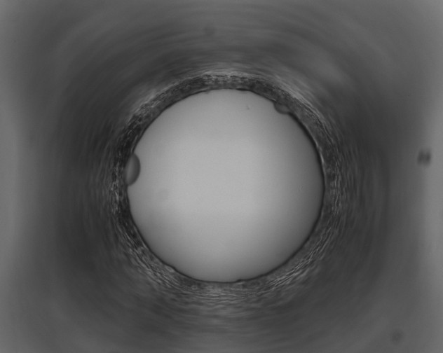 X0000097800870200803140734