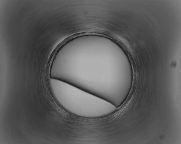 X0000097800875200803140734